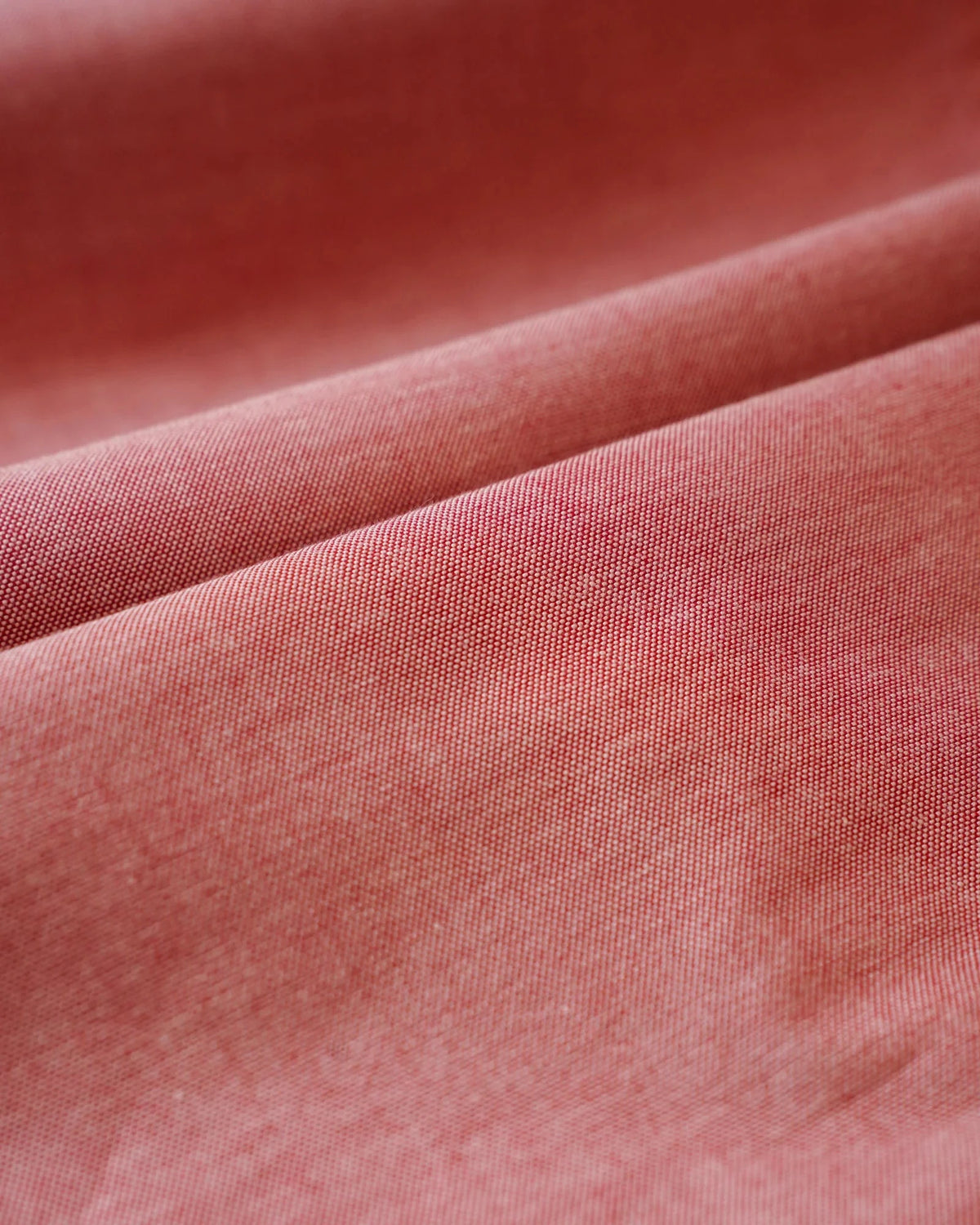 Blushfield Oxford Shirt